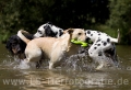 12 Wasseraction